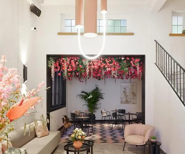 Rosa מלון אוסטנדה